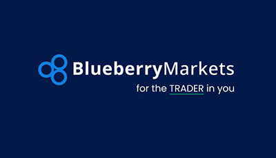 Blueberry Martkes